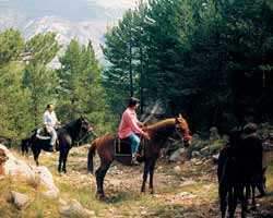 Berga horseback riding