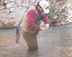 Berga fishing - license necessary