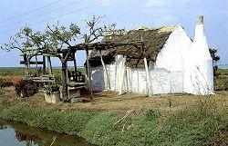 Delta de Ebro typical farmhouse