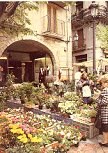 a flower shop on the Girona's Rambla...