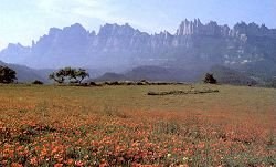 Montserrat mountain