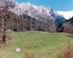 Bergueda mountain 3
